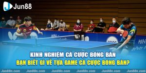 Kinh nghiệm cá cược bóng bàn – Bạn biết gì về tựa game cá cược bóng bàn?