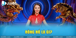 Rồng hổ là gì?