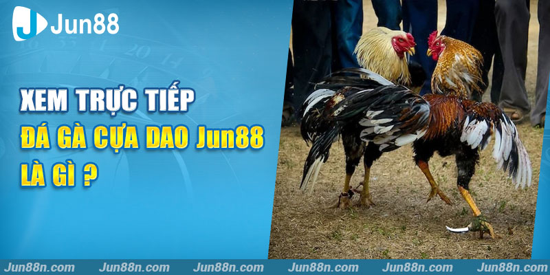 Xem trực tiếp đá gà cựa dao Jun88 là gì?