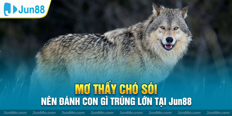 Mơ thấy chó sói nên đánh con gì trúng lớn tại Jun88